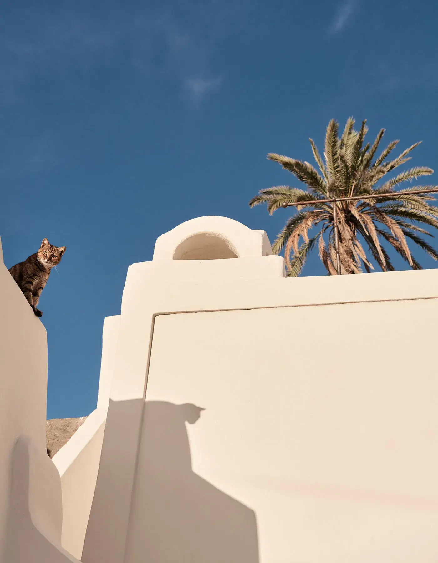 Explore Matria Collection