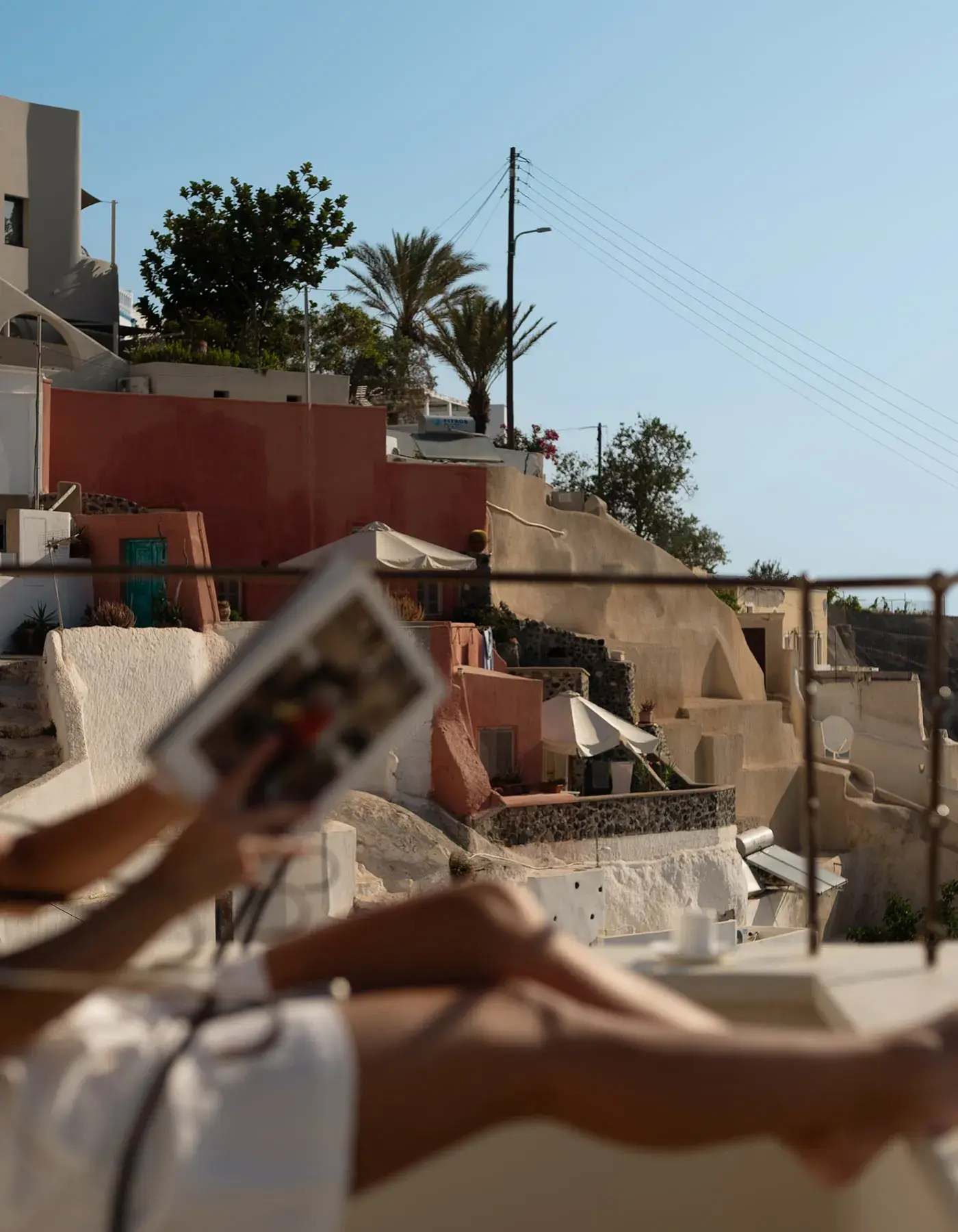 Born from the love of life