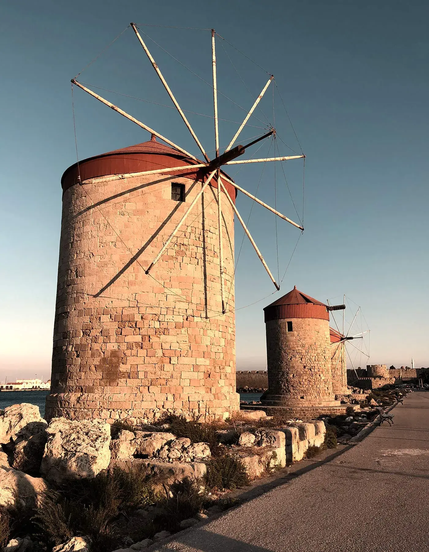 Step into a world of wonder